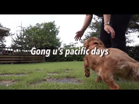 시골 직장인vlog:쑥 따서 쑥수제비 만들기, 갈매기한테 새우깡 주기, 대파 심기, 운동하고 먹고 운동하고 먹고
