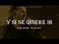 Y Si Se Quiere Ir - Luis Angel  &#39;&#39;El Flaco&#39;&#39; (LETRA) lyrics