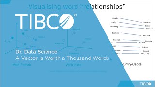 Celebrity Dr. Data Science - A Vector is Worth a Thousand Words Wealth