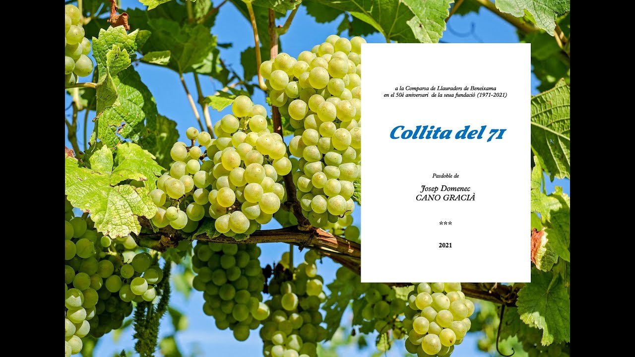 Collita del 71 (pasdoble)