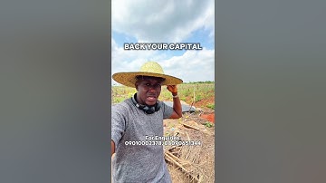 Best Shortlet Alternative In Nigeria | Farmland | Aroko