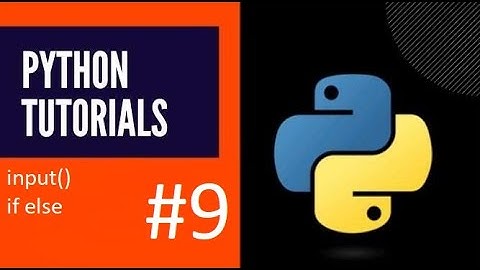 input() and if else | Python #9 | The Rising YoungStars