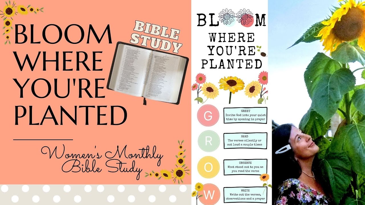 BLOOM WHERE YOUR PLANTED BIBLE STUDY/ 4 weeks YouTube
