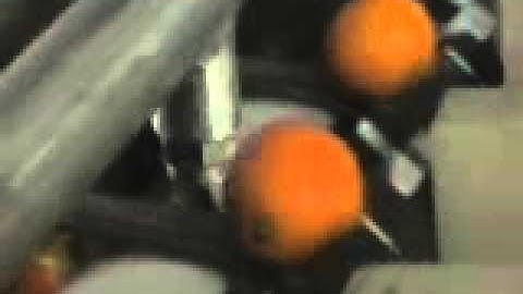 Citrus extractor- Citrus/orange/lemon extractor machine-Fruit processing line machine