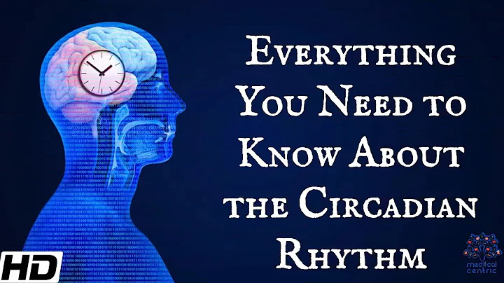 Everything You Need To Know About The Circadian Rythm - DayDayNews