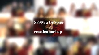 SF9 Now or Never mv reaction mashup