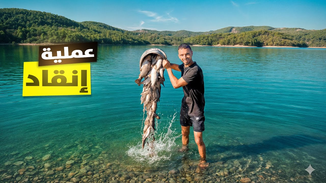 سباق مع الموت☠️أصعب عملية إنقاذ الأسماك 