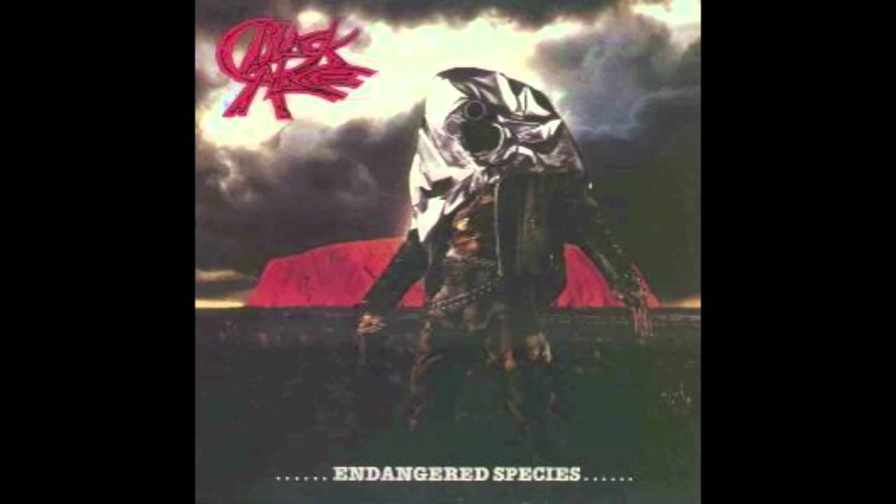 Black Alice - Wings of Leather, Wings of Steel