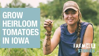 Growing Heirloom Tomatoes In Iowa