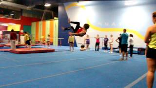 ROUND OFF DOUBLE FLASH KICK