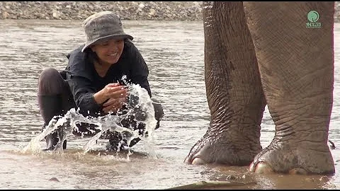 Be moved by the bond between our founder and the elephants at Elephant Nature Park - ElephantNews - DayDayNews