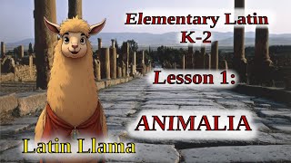 Latin for Children - Animals - Lesson 001