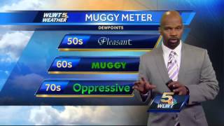 Humidity And Pop Up Showers