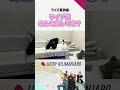 💃ガーデンシアターVlogをLKDCにて公開中🕺✨