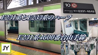 【特殊な窓】E231系4600番台山手線に乗ってきた。