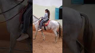 Download Lagu Vocai MP3