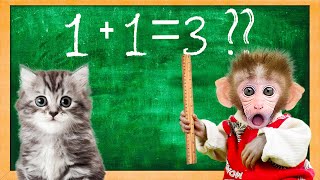 🐵Baby Monkey Bi Bon teaches the cat Mimi and eats fruit jelly together | Animals Home Monkey Video