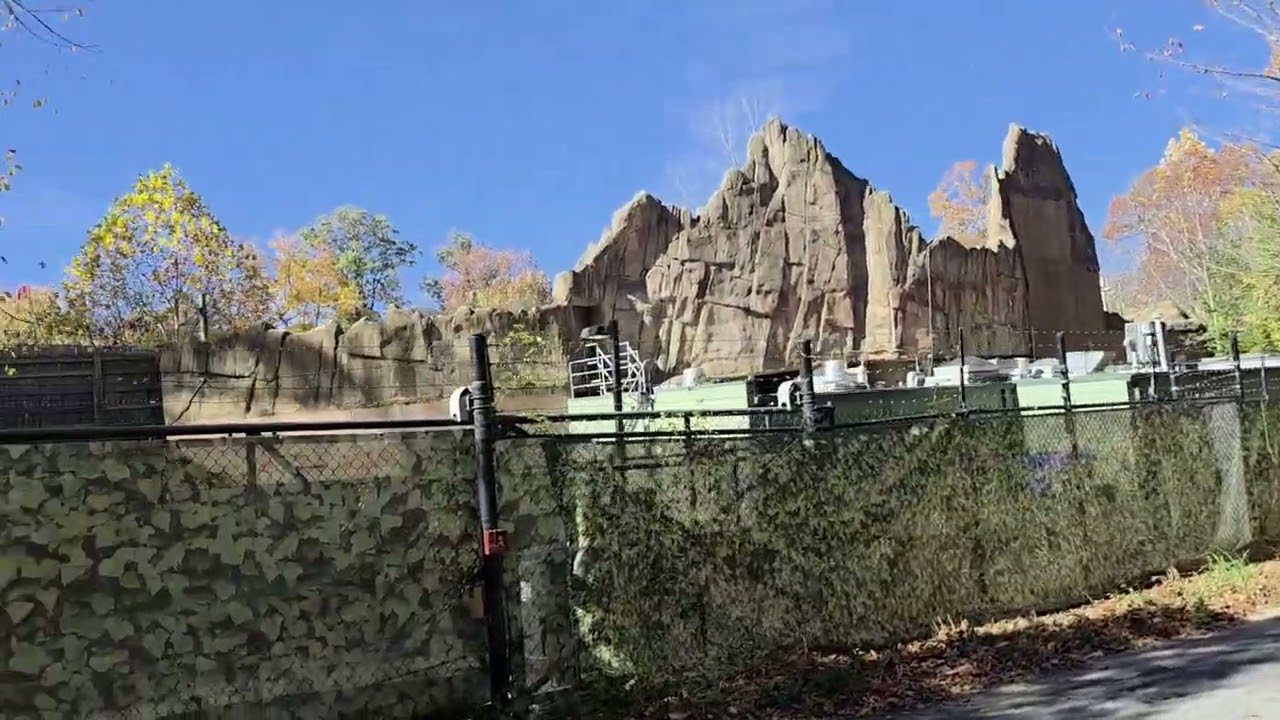 Overton Park, a dog's wonderland