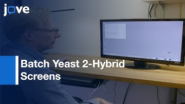 Batch Yeast 2-Hybrid Screens Sequence Data Analysis | Protocol Preview