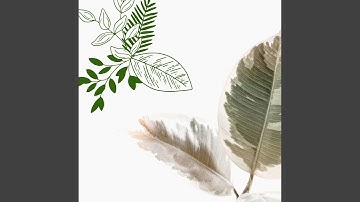 Cultivated Backdrops for Lazy Rain Days