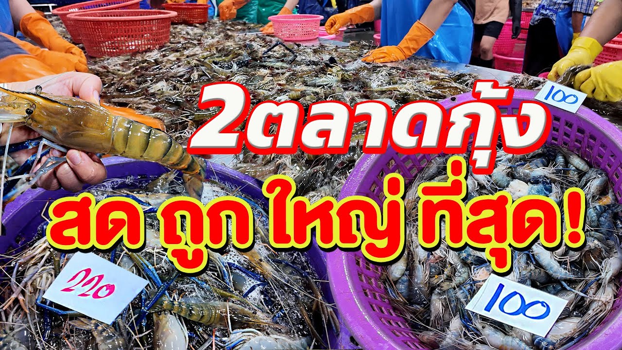 รวม 2 ตลาดขายกุ้ง ใหญ่ที่สุด ปลีก-ส่ง  ซื้อ1 กิโลก็ขาย @Fin A Dii Channel