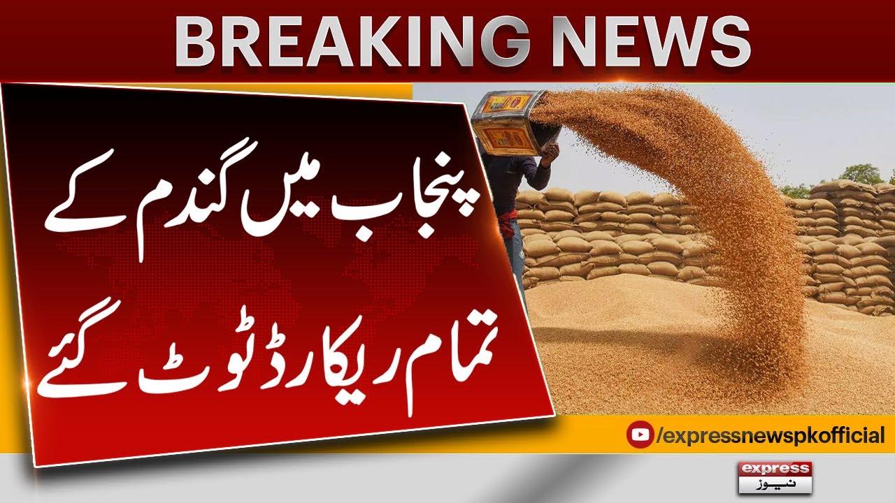 Wheat Price In Pakistan 2024 | Wheat Price Latest Updates | Breaking News