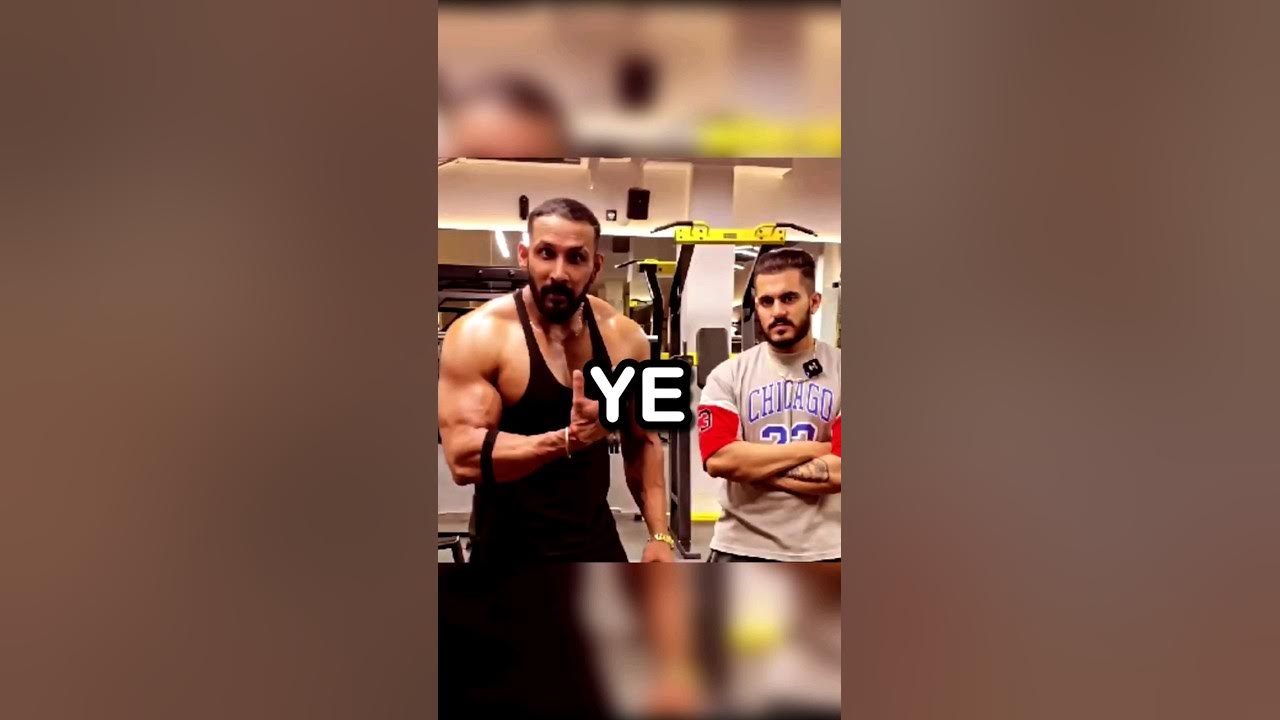 Гиллс Шугар Хаббард