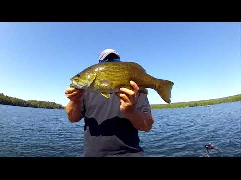 Smallmouth Fishing in