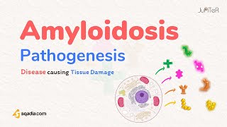 Amyloidosis Pathogenesis | Introduction | Pathology V-Learning for Medical Students