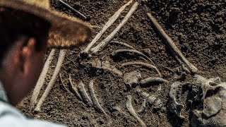 The Discovery of Sasquatch Remains | MBM 264