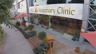 DKC Veterinary Clinic