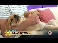 Lilla Nymo i studion - Så klipper du klorna på din valp - Nyhetsmorgon (TV4)