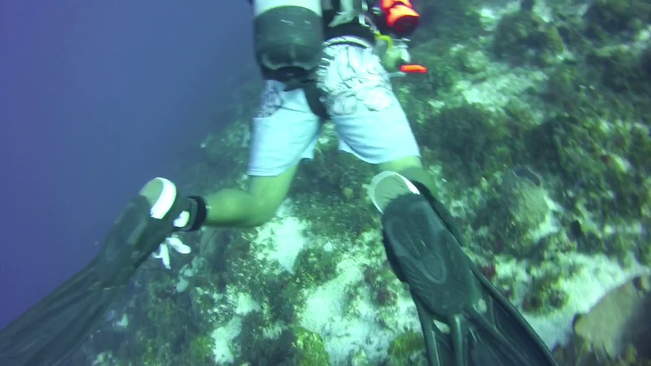 April 2018 Cozumel our dive masters dive boots are converse chuck