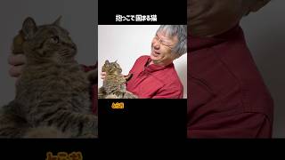 抱っこで固まる猫　#保護猫 #猫のいる暮らし #猫好きさんと繋がりたい