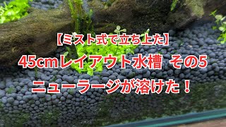 45cm mist-type layout #5: Failed to launch! The New Large Pearl