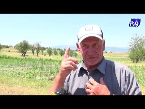 17 ივლისის საინფორმაციო გამოშვება