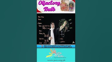 "Olfactory Bulb Explained in 60 Seconds | How Your Brain Detects Smells! 🧠👃"