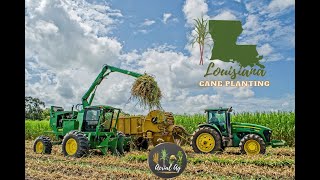 2021 Louisiana Cane Planting 4K