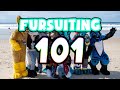 Fursuiting 101! ~ How to survive your first fursuit outing!