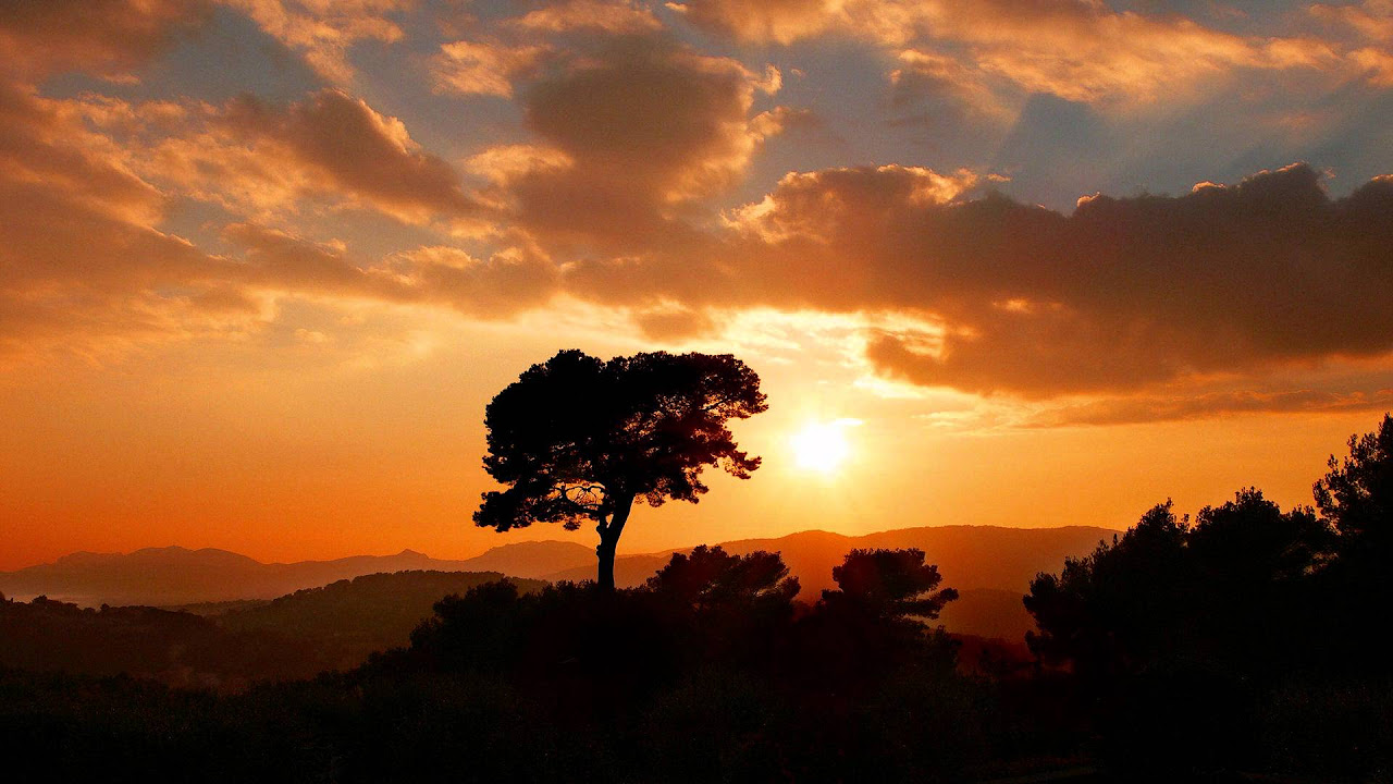 SIA - BREATHE ME (MYLO REMIX)