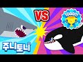 [Eng sub] 백상아리 vs 범고래 누가 이길까? | 샤크송 | 바다동물동요 | 어린이 자연관찰 | 주니토니 by 키즈캐슬