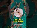 AIと勘違いされる魚の大群