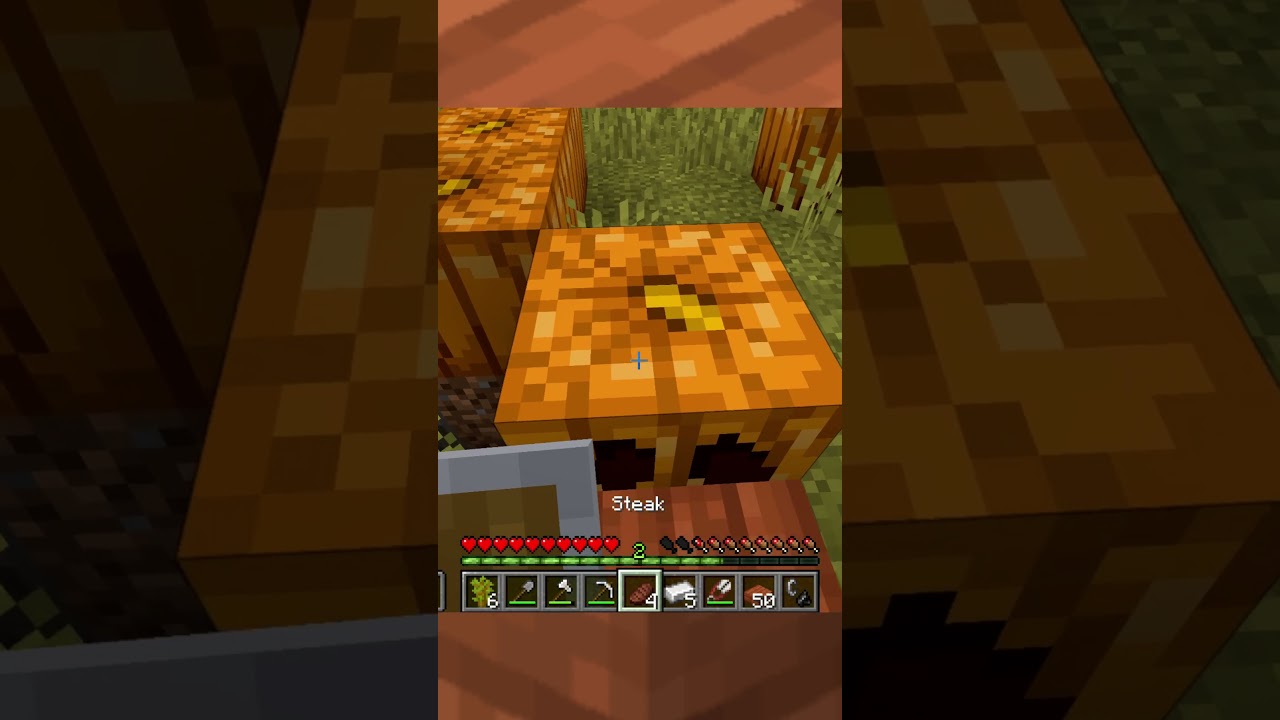 Minecraft but I can ONLY touch the colour...