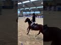 Poney à vendre - GRAND PRIX AS ELITE COYOTTE GIRL DU GARON - Vidéo 2 - equirodi.com