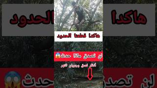 مهاجرين يعبرون حدود سلوفينا الخطيرة #الهجرة #أوروبا #fyp #bennour_vlogs #الهجرة_إلى_أوروبا