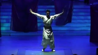 Taiji Quan Kung Fu Show screenshot 2