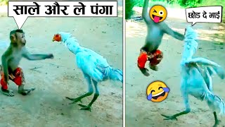 और लो बाप से पंगा 🤣😂 When Animals Messed With Wrong Enemy (Part-6)