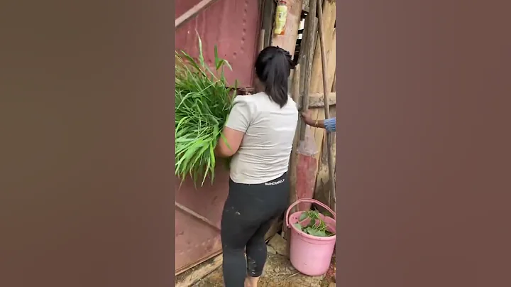 虽然我们很穷，但我们很幸福。我们可能没有多少物质上的财产，但我们有丰富的爱和欢笑。我们的父母努力工作来养活我们，我们感激他们所做的一切。 - 天天要闻