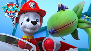 Marshall bertarung melawan tanaman pemangsa raksasa! π± | PAW Patrol | Episode Indonesia | Kompilasi