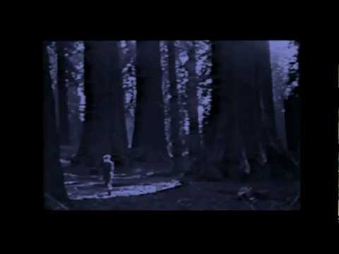 Gribberiket — Gribberiket - Høst